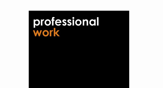 Other: Professional Work